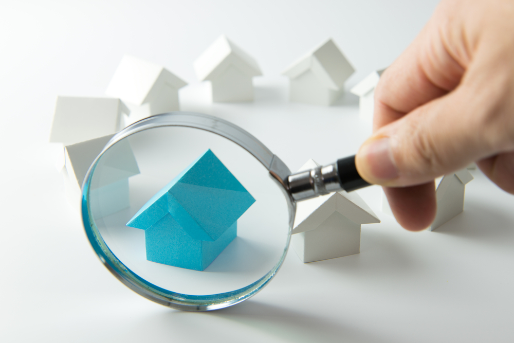 House Hunting Conundrum: How Expectations vs Reality Differ